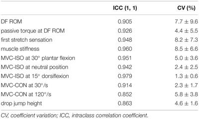 Comparison Between High- and Low-Intensity Static Stretching Training Program on Active and Passive Properties of Plantar Flexors